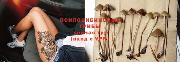 дмт Ельня