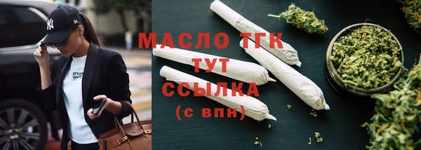 дмт Ельня