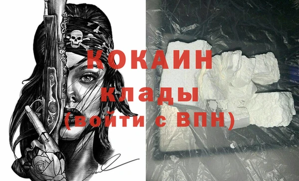 дмт Ельня