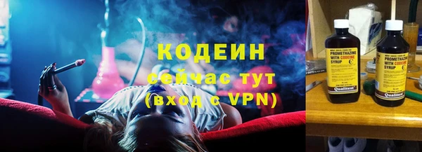 прущие грибы Заволжск