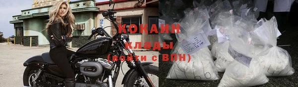 шишки Елизово
