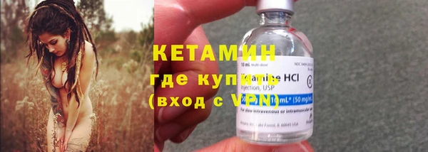дмт Ельня