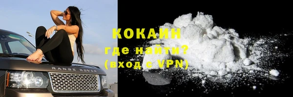 шишки Елизово