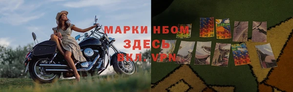молекула духа Елабуга
