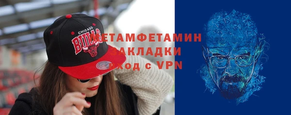 шишки Елизово