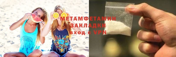 шишки Елизово