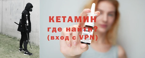 дмт Ельня