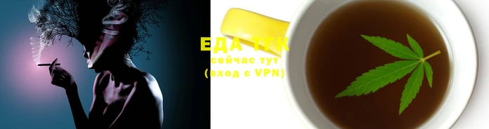 молекула духа Елабуга