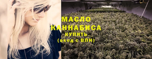 дмт Ельня