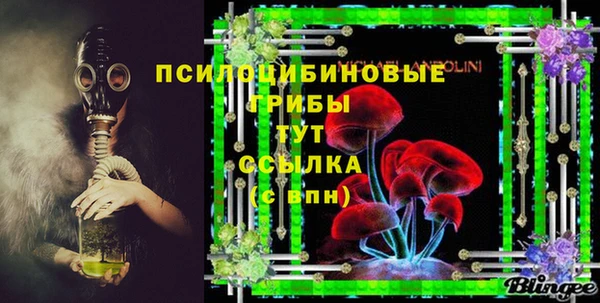 молекула духа Елабуга