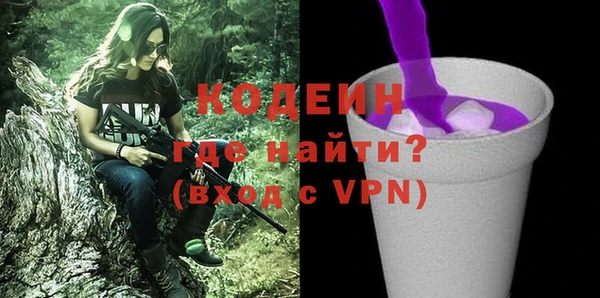 дмт Ельня