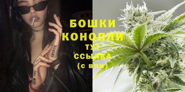 дмт Ельня