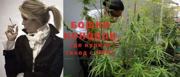 молекула духа Елабуга
