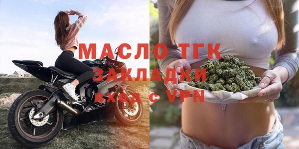 молекула духа Елабуга