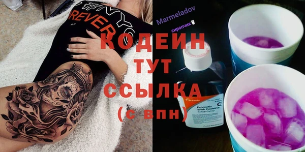 шишки Елизово