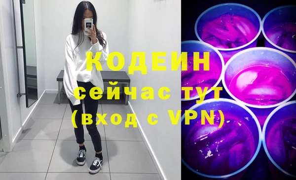 шишки Елизово