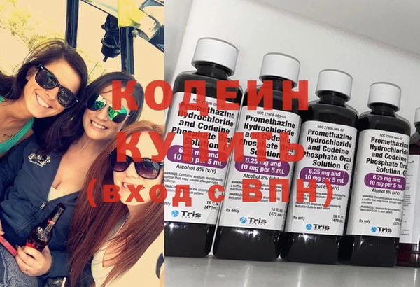шишки Елизово