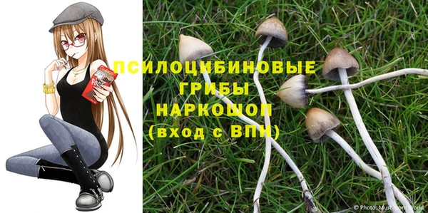 дмт Ельня