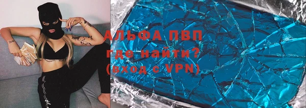 дмт Ельня