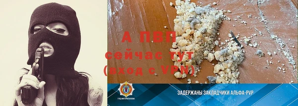 дмт Ельня
