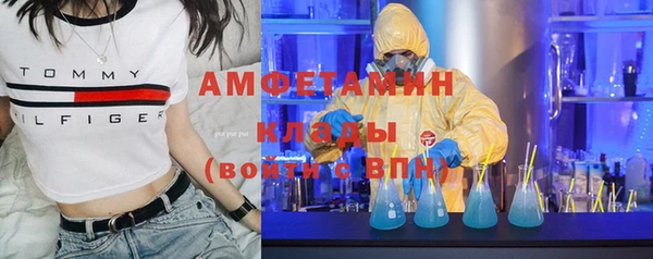 дмт Ельня