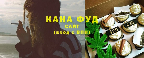 дмт Ельня