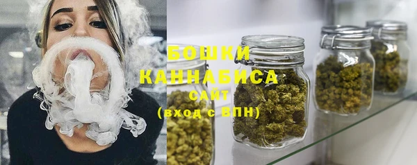 молекула духа Елабуга